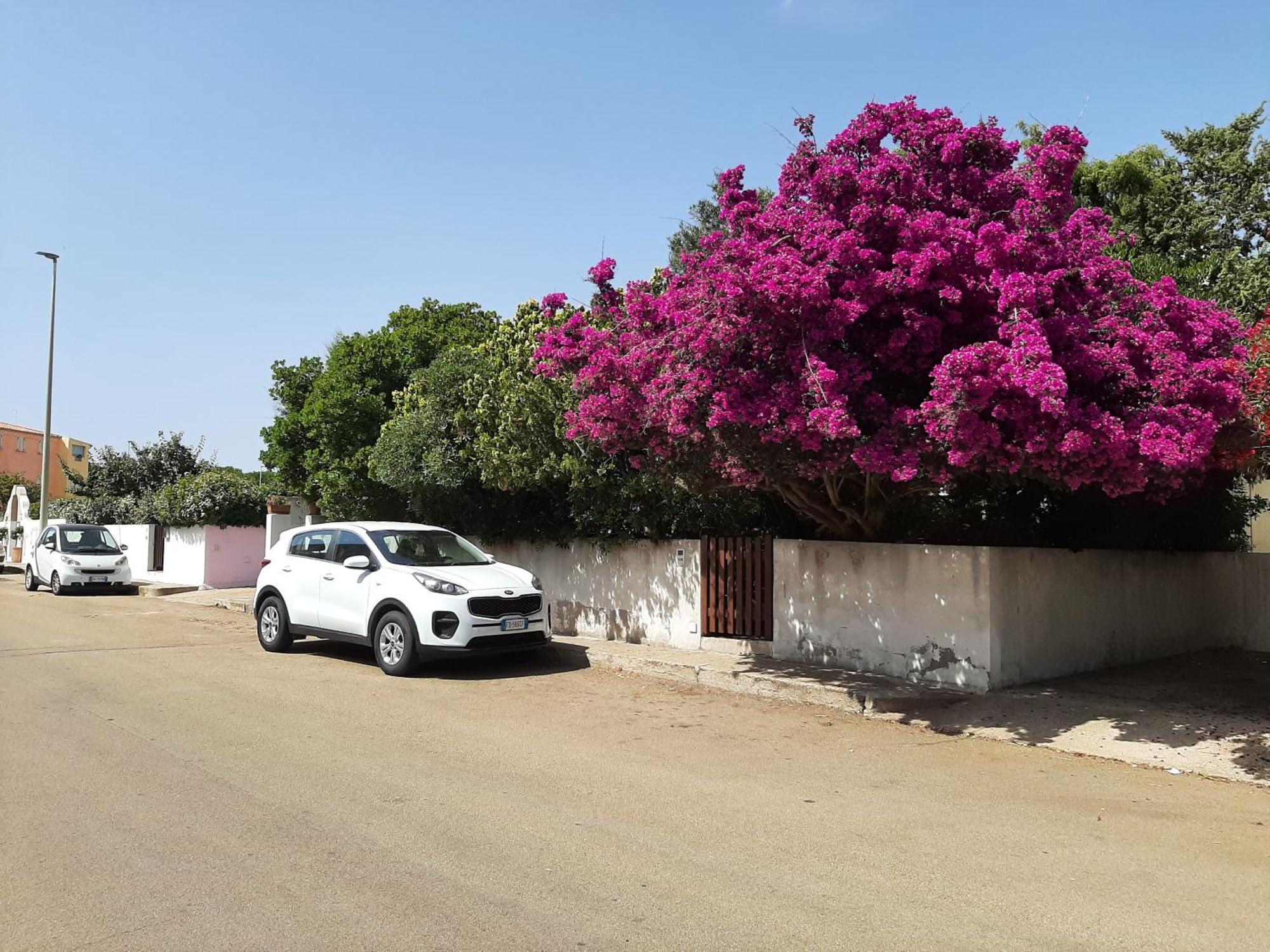 Casa Di Paolo E Roberta Bed and Breakfast Santa Teresa Gallura Eksteriør billede